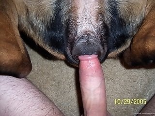 ZooFreePorn