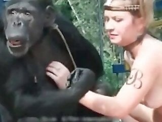 Dog Sex Zoo