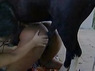 Horse Zoofilia Tube