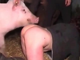 Animal Porn In