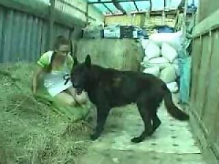XXX Zoo Sex Porn