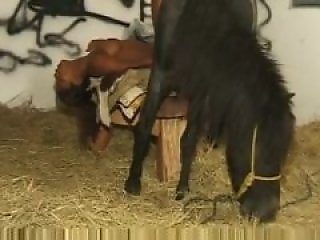 Zoo Bestiality Porn Movies
