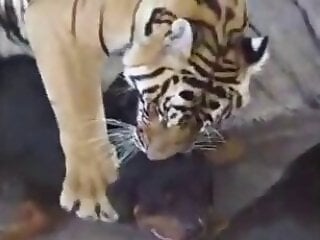 XXX Bestiality Porn