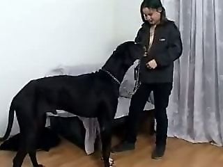 Zoo Zoo Sex Porn