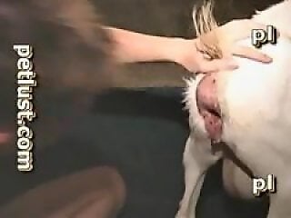 Zoo Sex Zoo