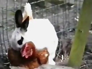 Mature Zoo Porn