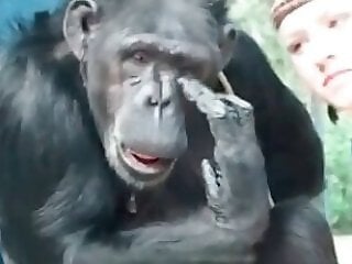 Zoo Zoo Sex Porn