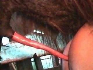 XXX Bestiality Sex