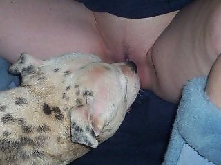 Zoo Zoo Sex Porn