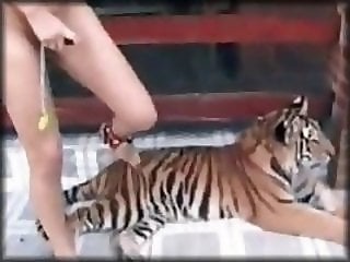 Zoo porno and animal sex