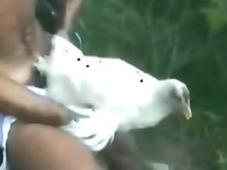 Outdoor animal porn