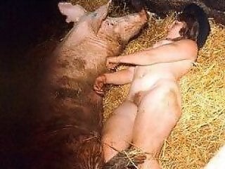 XXX Animal Porn