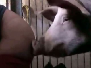 ZooY