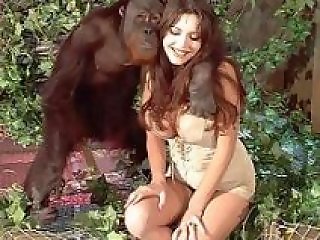 Zoo Sex Art Tube