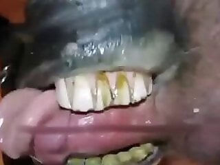 Sexy Beastiality Porn Videos