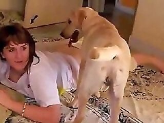 Free Animals Porn Movies