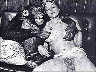 XXX Animal Porn