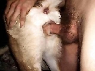 XXX Bestiality Sex