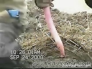 Mature Zoo Porn