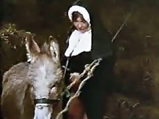 Horse Zoofilia Tube