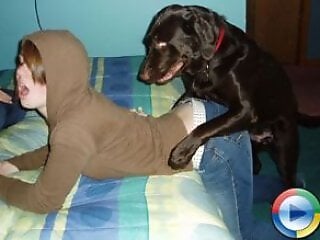 Animal Porn Zoo Videos