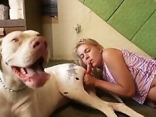 XXXBestialityPorn
