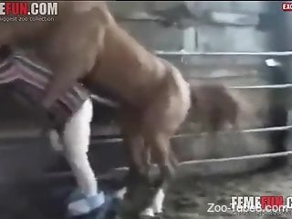Big horse fucks man's ass in crazy scenes