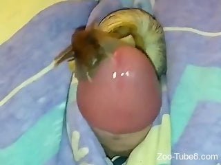 Snail takes care of this dude's cock because he asked