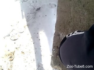 Extremely rough fucking session with a dirty mare