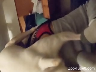 White animal fucking in a rather taboo scene