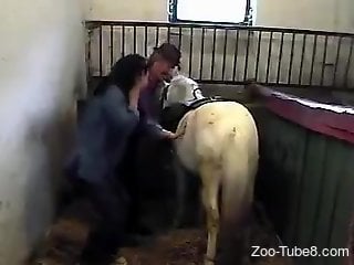 White horse is going to really enjoy a nice HJ