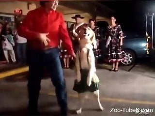 Zoophile receives a stunning blowjob from a dog