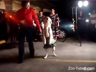 Zoophile receives a stunning blowjob from a dog