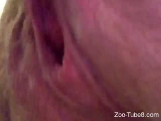 Shaved pussy of a chick endures hot oral sex