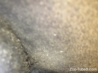Zoophile is enjoying rough zoo sex to the maximum
