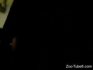 Shaved pussy gets creampied by the end of zoo porn