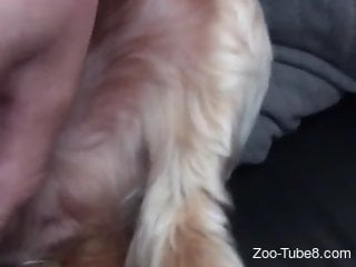 Horny man finger fucks the furry animal in sexy manners
