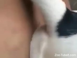 Man provides harsh zoophilia content by fucking a dog in the ass