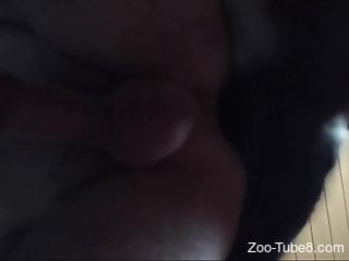 Close-up view at rough bestiality sex with a dog