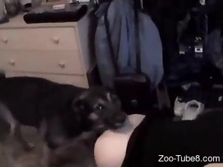 Hot blonde filmed at home when her dog bangs that ass