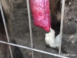 Amateur is about to grab this big dick and play with it