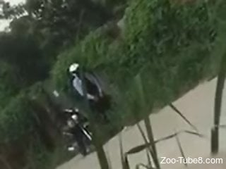Horny man gets filmed in the backyard trying sex with animals