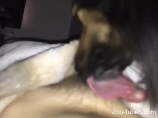 Dog pleases horny man by licking his dick until the last drops