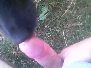 Solo man combines jerk off kinks with dog oral sex