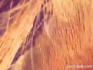 Hot and rough bestiality filmed outdoors