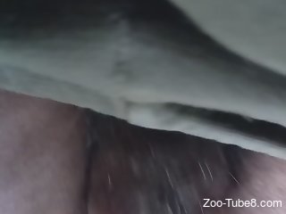 Zoophile finally enjoys anal zoo sex