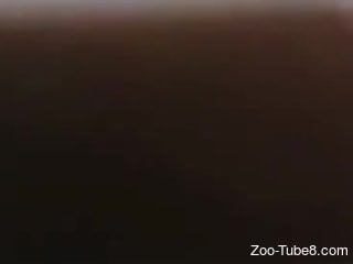 Zoophile cannot wait to bang his doggie
