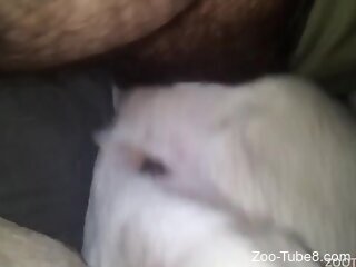 Grey-spotted dog endures deep zoo sex