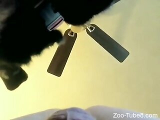 Zoophile’s ass gets licked by the doggie