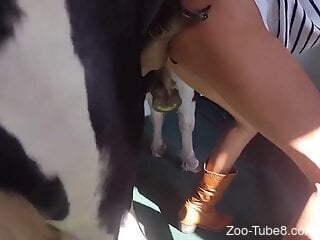 Skinny brunette is having zoo sex with a pony